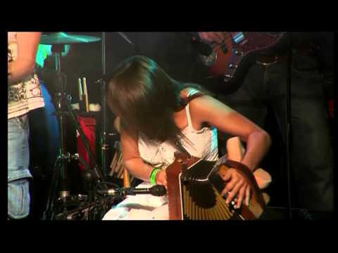 Sharon Shannon & The Big Band - The Bungee Jumpers (Live)
