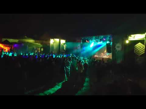 Pet Duo Nature one 2019