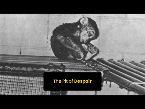The Pit of Despair | Harry Harlow Monkey experiment | Harlow rhesus monkeys | Love | Online Docs