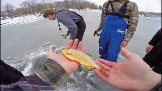 MYSTERY Fish Landed Through Ice? (We Have No Clue)