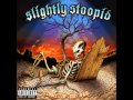 Slightly Stoopid - This Joint