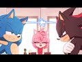 SONIC S REVENGE Sonic VAC 3
