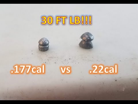 .177cal vs .22cal Airgun...30FT LBS!!!