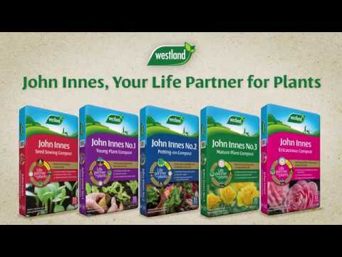 Westland John Innes Ericaceous Compost Video