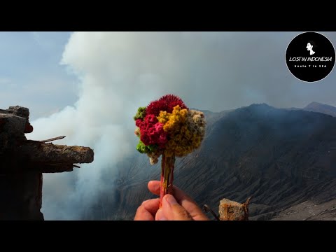 Mount Bromo Sunrise Tour DIY--Trip to East Java Indonesia Ep4
