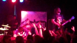 Our Last Night &quot;Elephants&quot;