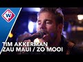 Tim Akkerman - Zau Maui (Zo Mooi) | De Troubadours