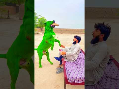 Allah send the dog to save him 🐕#ytshorts #emotional #prayer #viral #shorts