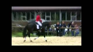 Video af Van Vivaldi