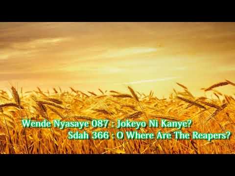 SDA Hymnal Song no 366 ( O Where Are The Reapers?) in Luo - Jokeyo Ni Kanye? no. 87