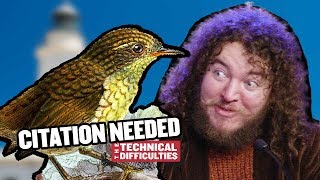 Stephens Island Wren and the Cobra Effect: Citation Needed 6x03