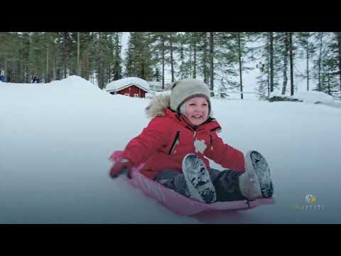 Voyage de Rêve pour les Fêtes de Fin d’Année - Laponie et Destinations Féeriques