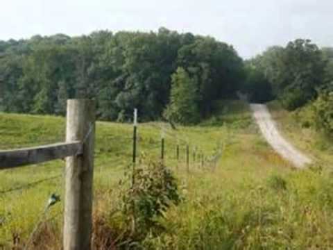 Leona Williams   Taste of Life