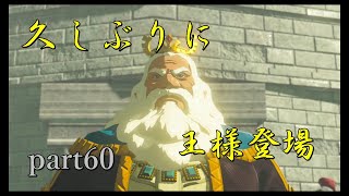 【ゼルダの伝説ブレスオブザワイルド】記憶の場所発見！【実況プレイ】part60