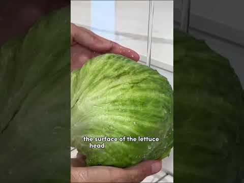 How to Properly Wash a Head of Lettuce 🥬