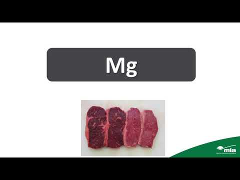 MSA grading - what do you need to know?