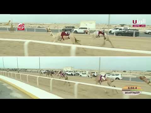  ش 7 (هيهات) لـ هجن الشحانية 9:23:32 , مهرجان المؤسس 2025/12/15 ايذاع  