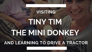 preview picture of video 'Visiting with Tiny Tim The Mini Donkey'