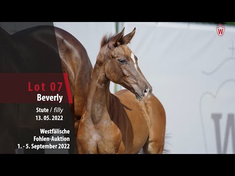 Fohlen-Auktion Lot 07  Beverly Stute v. Bonds - Fürst Magic