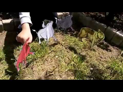 Tuğra D.(Sevtap Orhan_Ayşe Ziver Karataş İlkokulu)