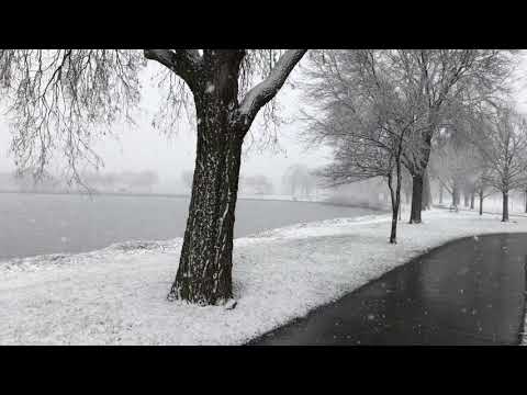 Spring Snowfall at Lake Winona