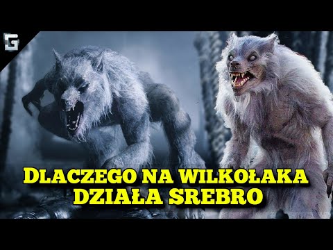 Dlaczego na Wilkołaki działa Srebro?