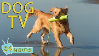 DOG TV: Best Video Entertain for Dogs - 24 Hours of Soothing Music for Anxious Dogs When Home Alone