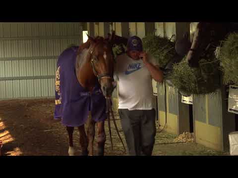 Chad Summers on Breeders Cup Sprint Contender Mind Your Biscuits' Workout