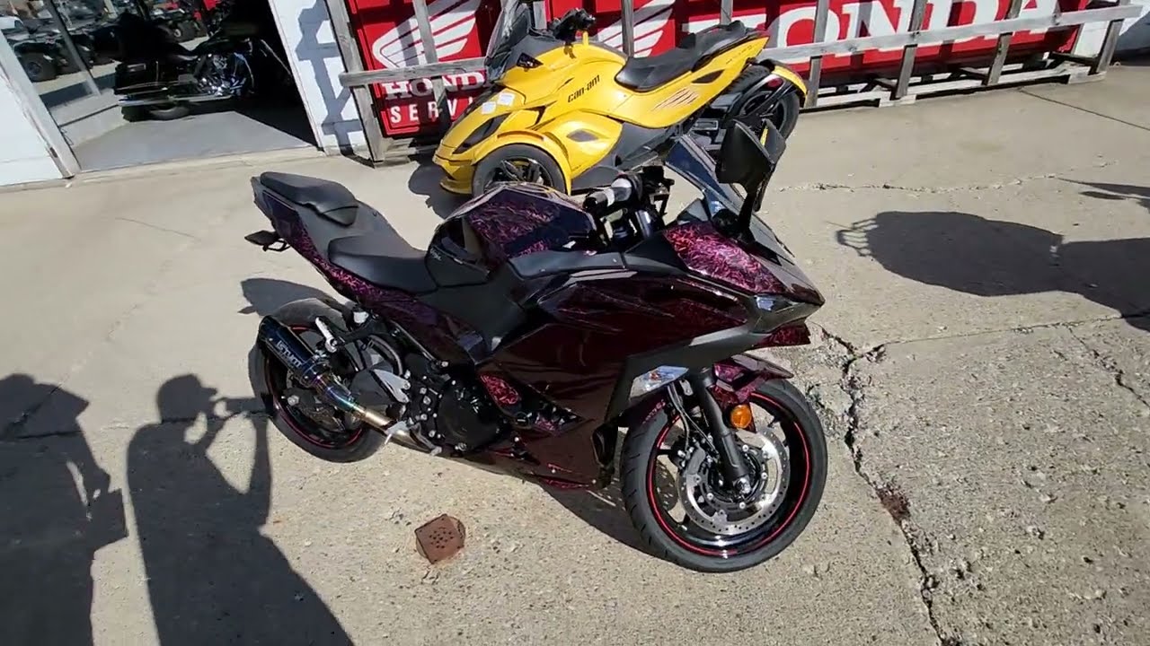 2025 Kawasaki Ninja 500 ABS Motorcycle