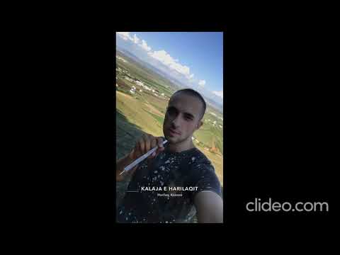 Anda Skull Raptology - Prej Nëndetses