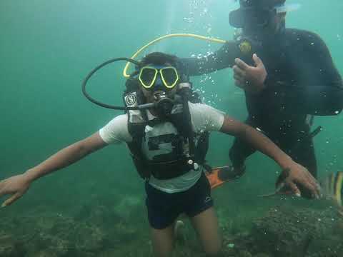 Scuba Diving in Tarkali Beach | Sarpmitra Deepak Parit | #beach #scubadiving  #beachlife  #shorts