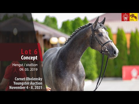 Youngster Auktion Lot 06 Concept Hengst v. Cornet Obolensky - Lancer III