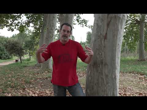 QUIM MOYA I MATAS + L’ART DE VIURE / FUNDACIÓ AMPANS - PRESÈNCIES