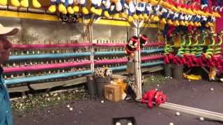 Does anyone ever win along the Carnival Midway?