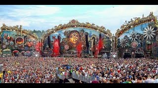 Yves V - Live @ Tomorrowland 2014