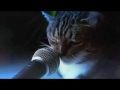 Meow Mix Song 10Hours