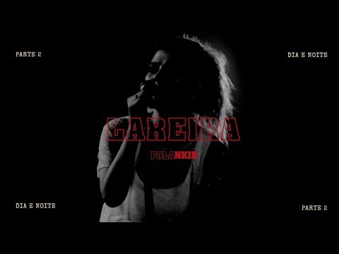 Lareira video
