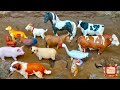Farm Animals Toys | Animals in Mud | Animals in the Muddy Sandbox! Kids Fun Learning