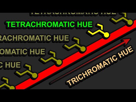 How Do You Name Tetrachromatic Colors?