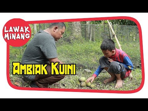 ambiak-kuini-garundang-66