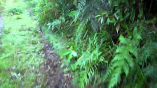 Adventurebug Road of Death Bolivia