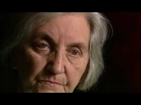 stalingrad ofensywa 1️⃣▶️ 1/3