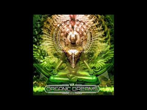 08  Yonoize   Bizarre Symphony   157 BPM   GUA