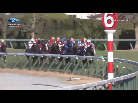 2019.12.15 Asahi Hai Futurity Stakes (JPN) - Salios