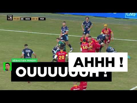 TOP 14 - J12: L'arbitre M. Minery percuté deux fois lors de Montpellier - Perpignan