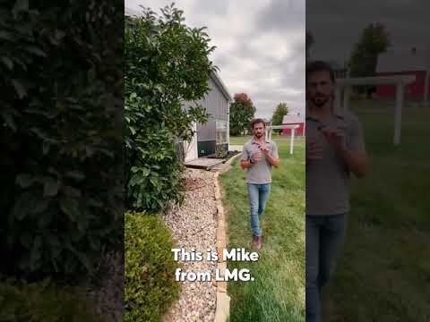 How to trim a magnolia, part 1!