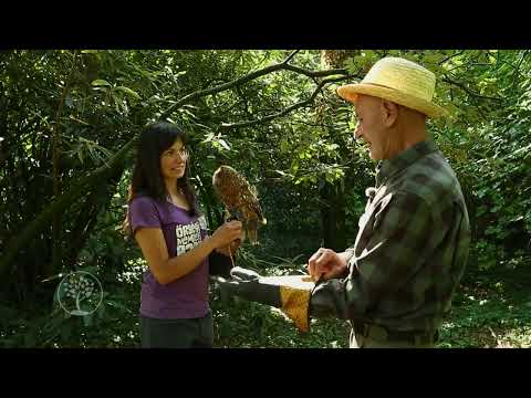 Reviczkyvel az Erdőben – Natúrparkok – 2021-I. évad - 3/6 - Írottkő Natúrpark