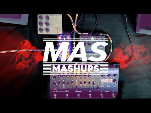 MAS MashUps Vol. 14 - Alexander Pedals, Fairfield Circuitry, GFI System