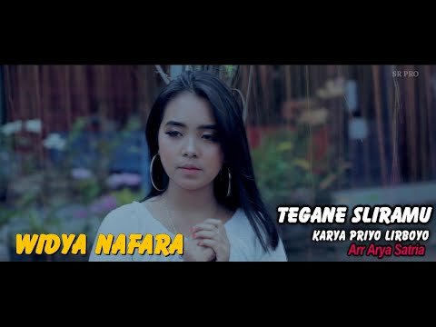 Widya Nafara - Tegane Sliramu Priyo Lirboyo