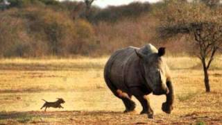 Cocoa Brovaz,Tony Touch &amp; Hurrican G Spanish Harlem